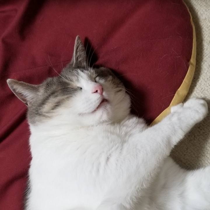 Ff3efb90 31b4 4b71 84a0 d801fec166b9 1542697751297