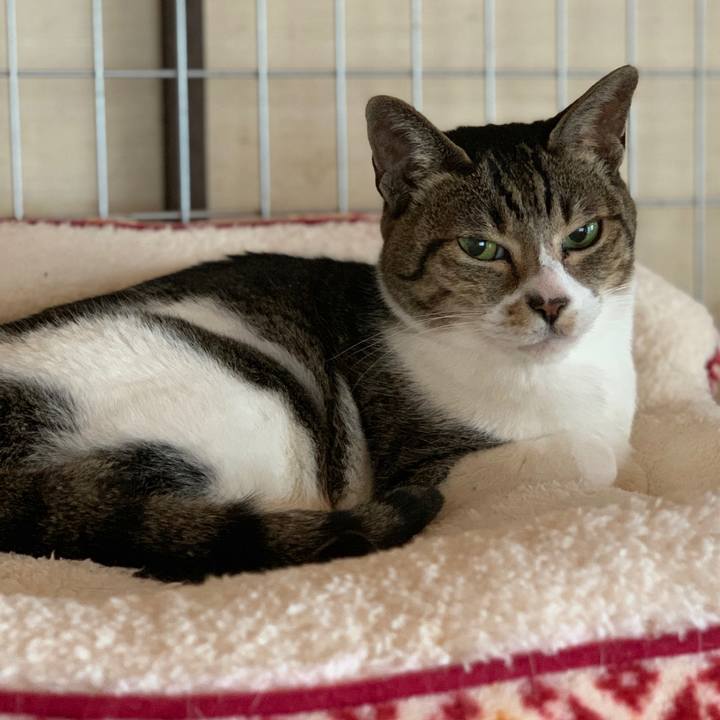 Ff3f0017 b11e 4b49 9bcd 9c32117310ab 1580262241473