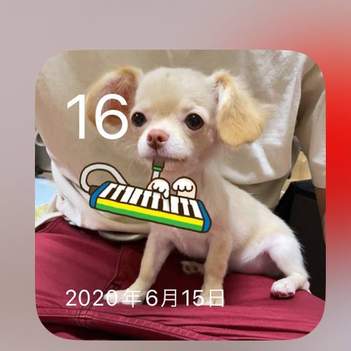 Ff3f1afa 0b51 467d bf24 09d93aa4cb9b 1718542693290