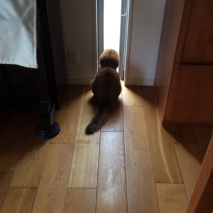 Ff3f36cf b251 41b4 a6d1 1244d8218ed2 1625093533023