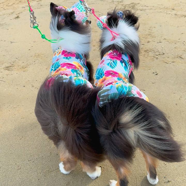 Ff3f389e ade2 4976 bf98 d9b12ec00876 1758638151787