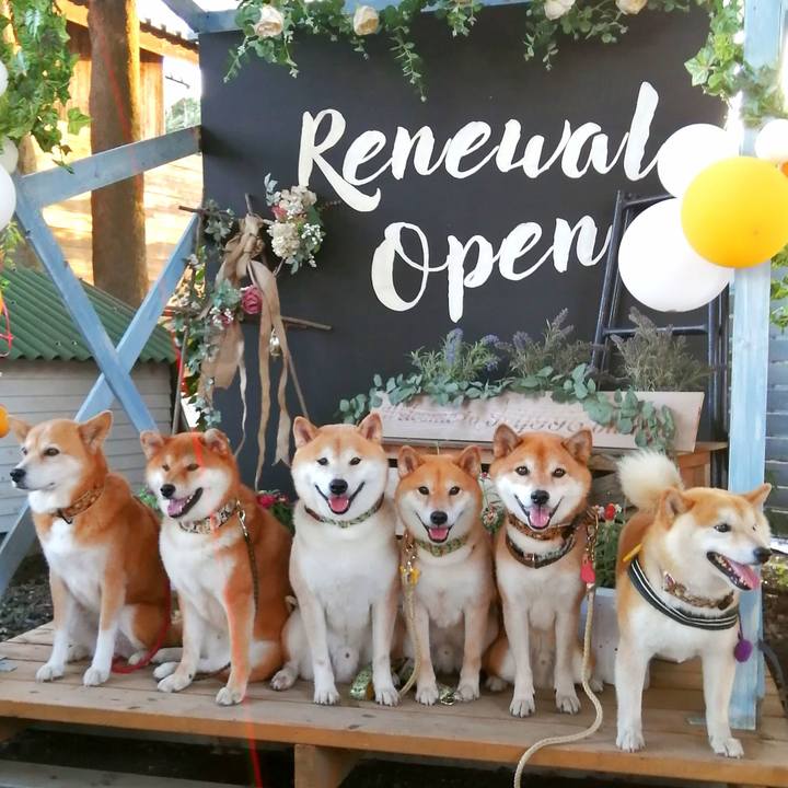 Ff3f56fc 70a8 45b3 96e1 0b6b95c8d41d 1690599327343