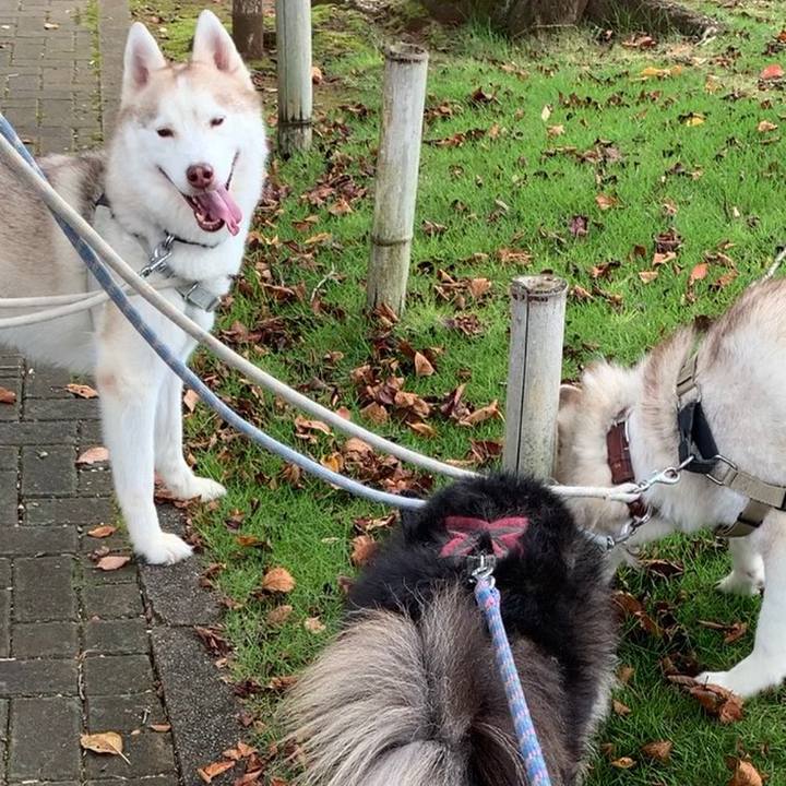 Ff3f626b 2fbb 4974 b768 515f92856a27 1596877555289