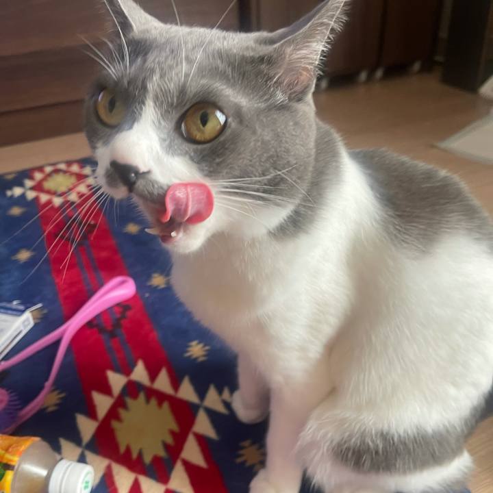 Ff3fa9d7 8b78 46fa 82ab 80136f469c60 1633998835627