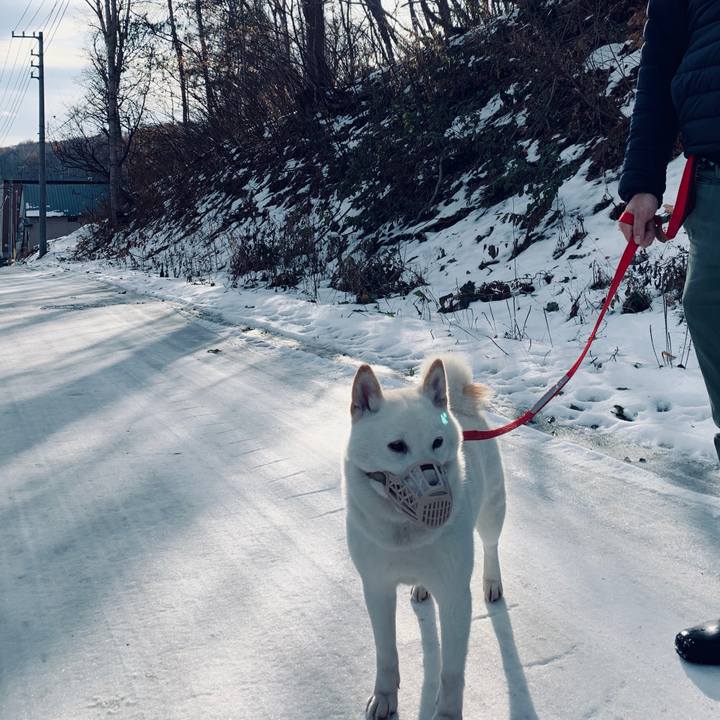 Ff3ffdf5 b09d 4128 9150 f3800508ac81 1574555906592