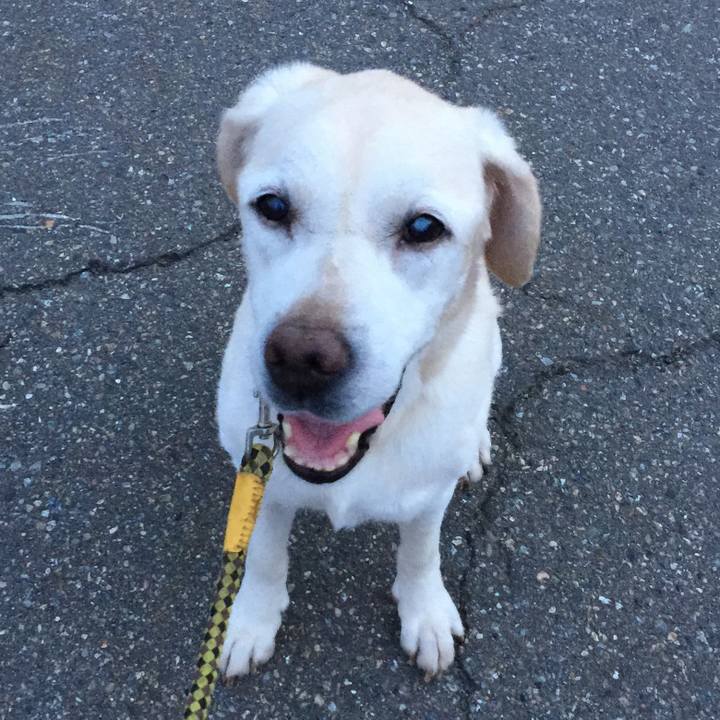 Ff40014b ce92 48b8 8e69 9ea7ed82a3ef 1534761520045