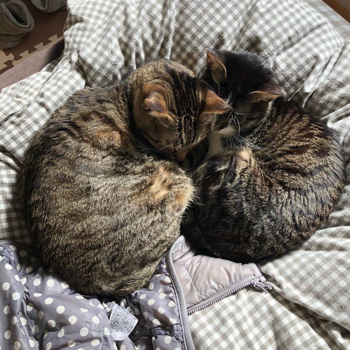 Ff4016f6 aea3 4817 9229 1806e8c71b01 1519096518928