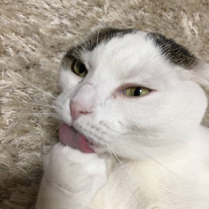 Ff4018cb 681e 4a48 b025 f241196a786b 1528640098252