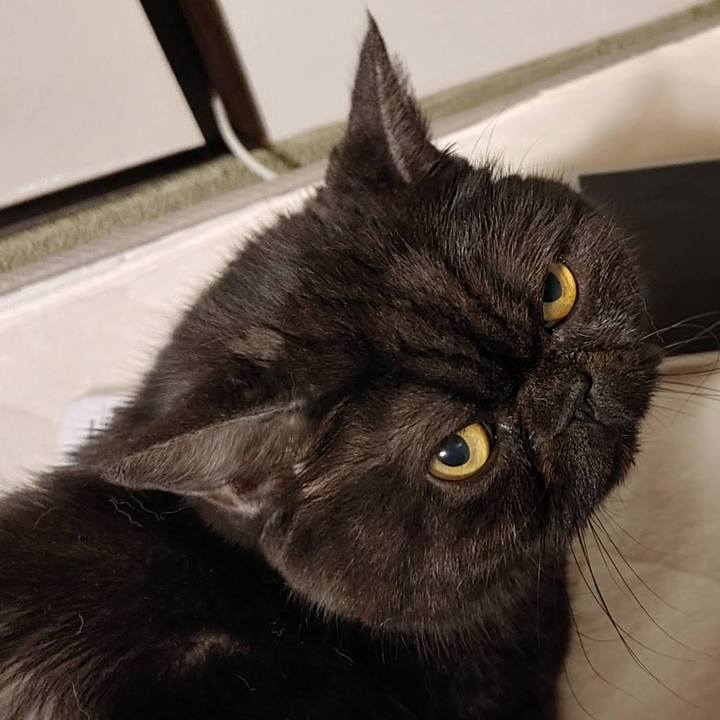 Ff403bac 4fce 4a82 a9ca 421d9b7ea66e 1721774178533