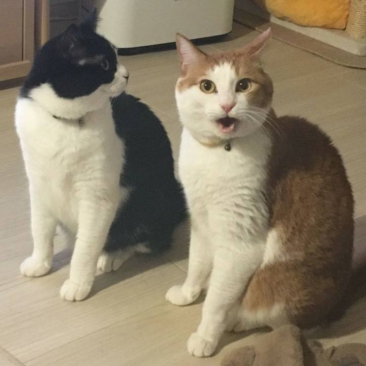 Ff404502 ca52 44d0 84ba bec47f2e7dc6 1578285992605