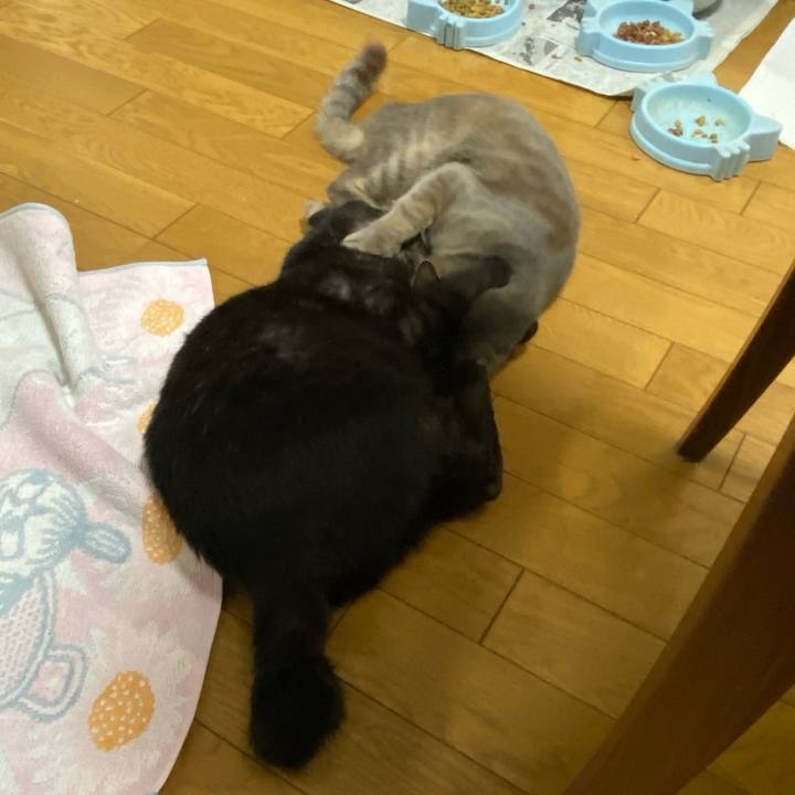 Ff40573c 2c96 4aab 967a a9aa11b8dd11 1583240369733