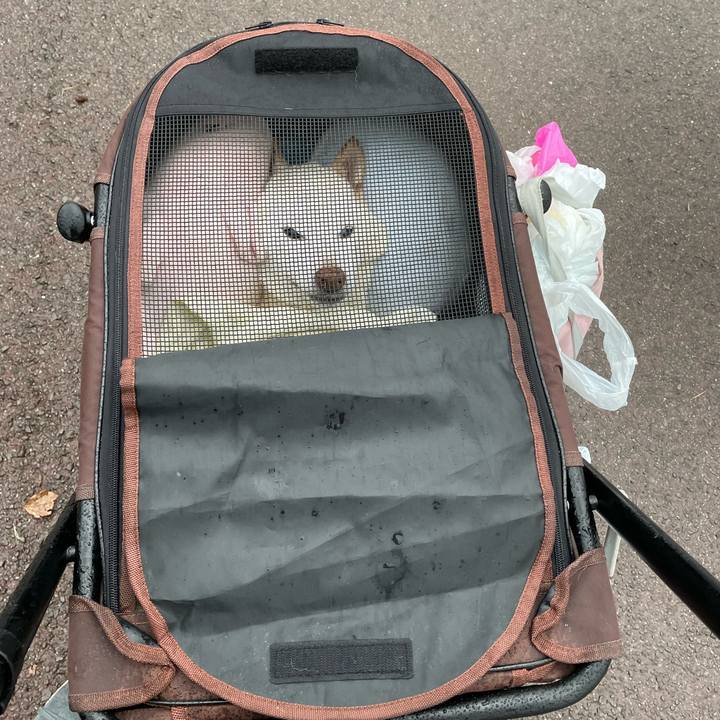 Ff40633c 80c0 41a9 9e07 4a66f957c1ac 1679814195883