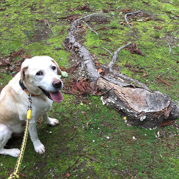 Ff406e88 7c70 4ff7 92a3 e3f45ebbf87d 1539166754028