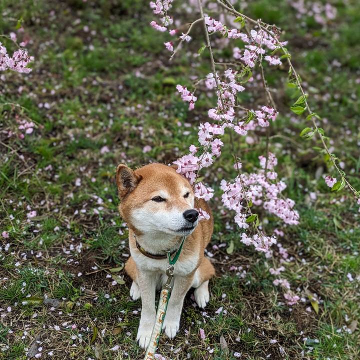 Ff40a1e7 a71d 40d3 93cb 4d506d23f9eb 1712639633529