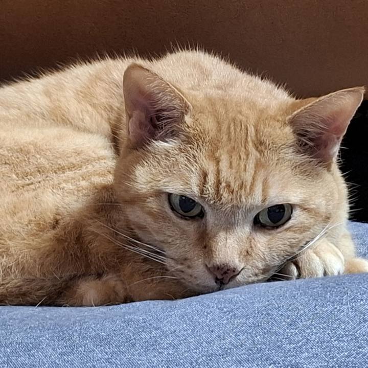 Ff40a851 8e92 4a4d a837 843bc978c94f 1757508418049