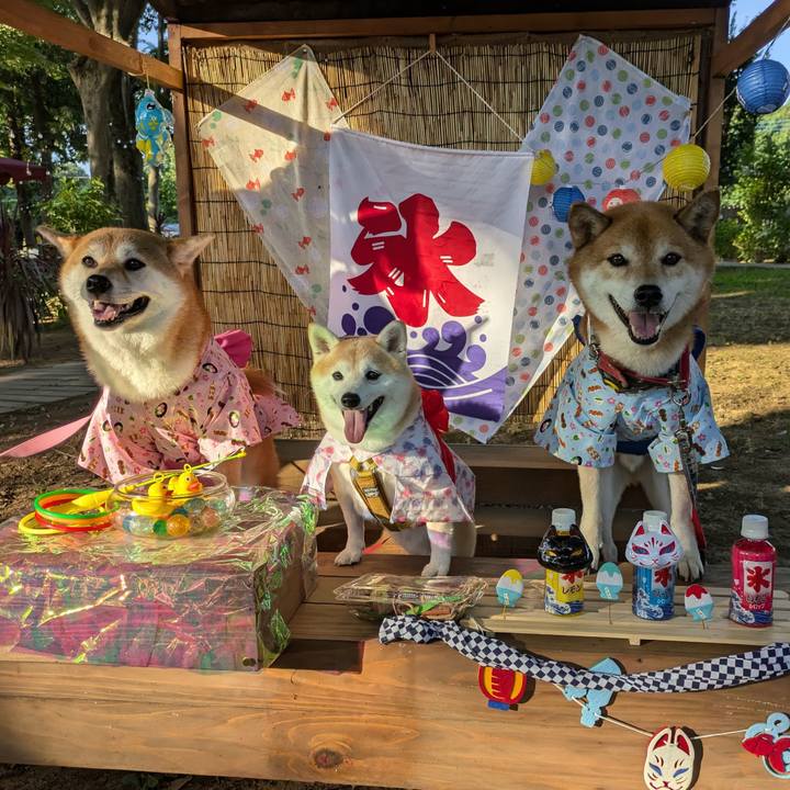 Ff40f136 5fd6 4903 afa0 f83459734d91 1722524758306