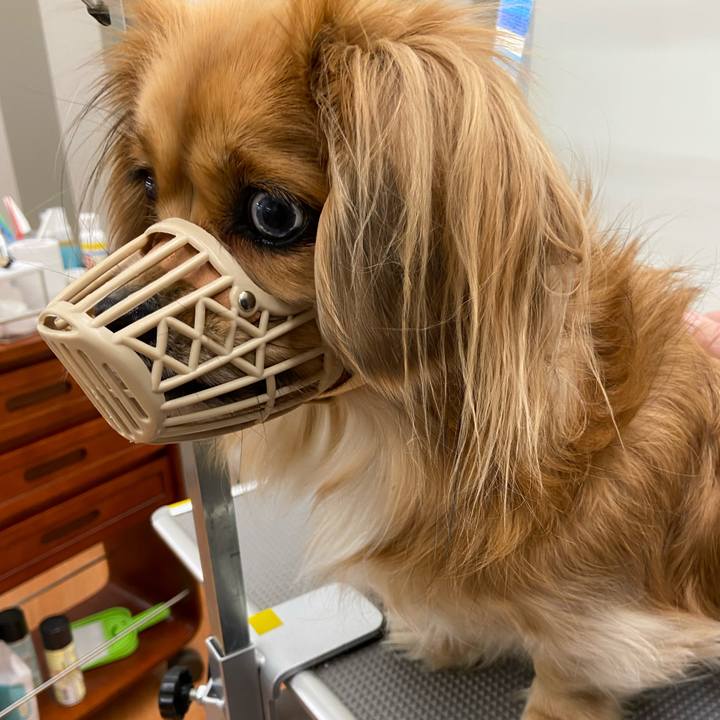 Ff4130be 513b 4137 8113 2ee1091ff15f 1575784962482