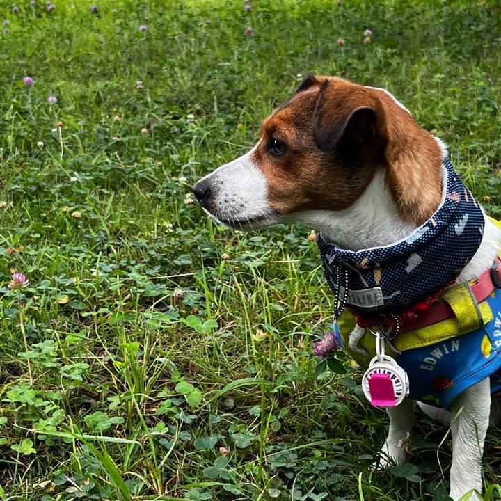 Ff415b26 f8ff 4554 b96a 53eb74f4f4e8 1752573144352