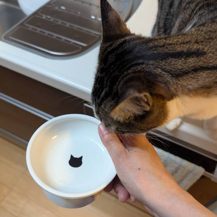 Ff416527 a2ff 4882 ad12 586c38319425 1750831462369