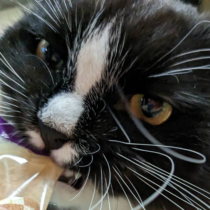 Ff417bf1 c780 49f5 a266 d5bfd58f6369 1699185941313