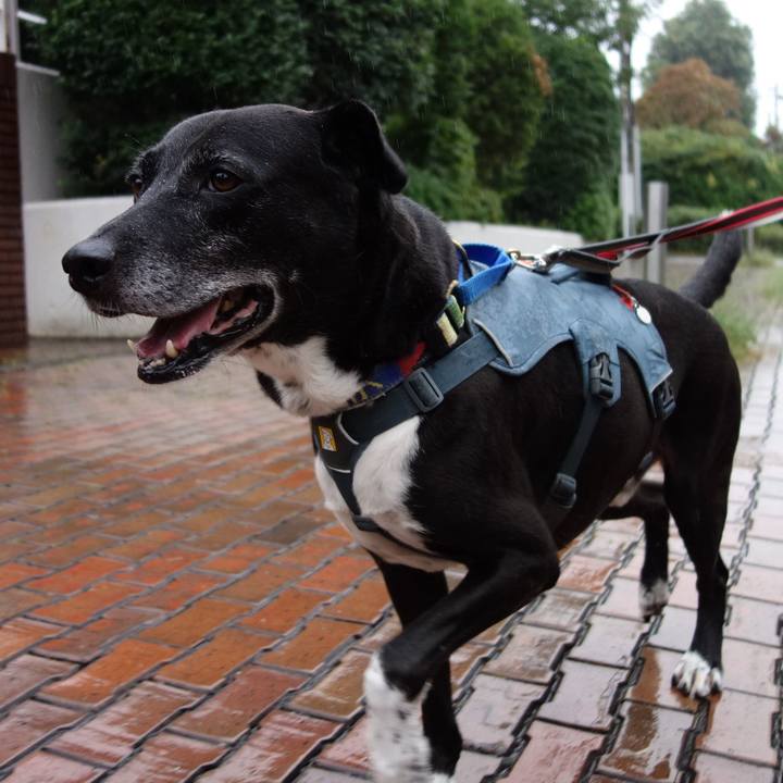 Ff419fb5 f5fe 4891 915a 0399722a0c87 1728170565295