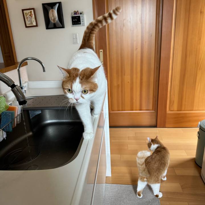 Ff41dbbb f66d 49e1 ac58 403df6f374de 1776561275051