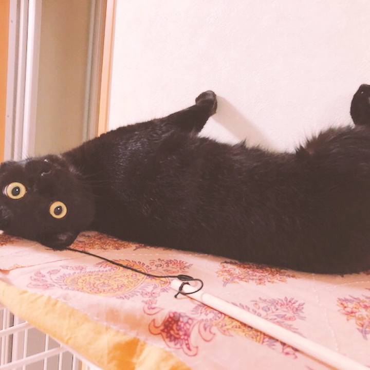 Ff41ebf3 2d2e 4390 b825 28302a2a58fe 1536278090985