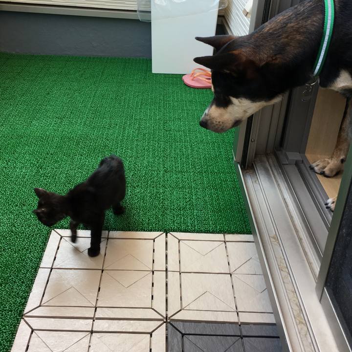 Ff41fb64 66ed 4c95 8ccf f113b41ef07e 1533135001771