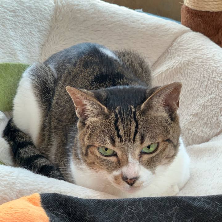 Ff422cac dba9 4095 a959 3c5c4c11ad06 1572398457057