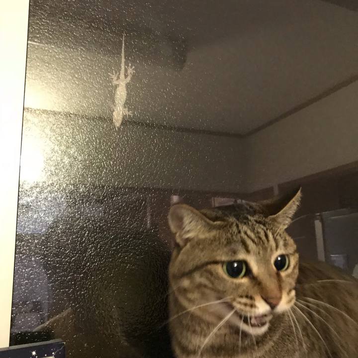 Ff423d93 3949 4e92 ac7b 08cc9baac92a 1553501072282