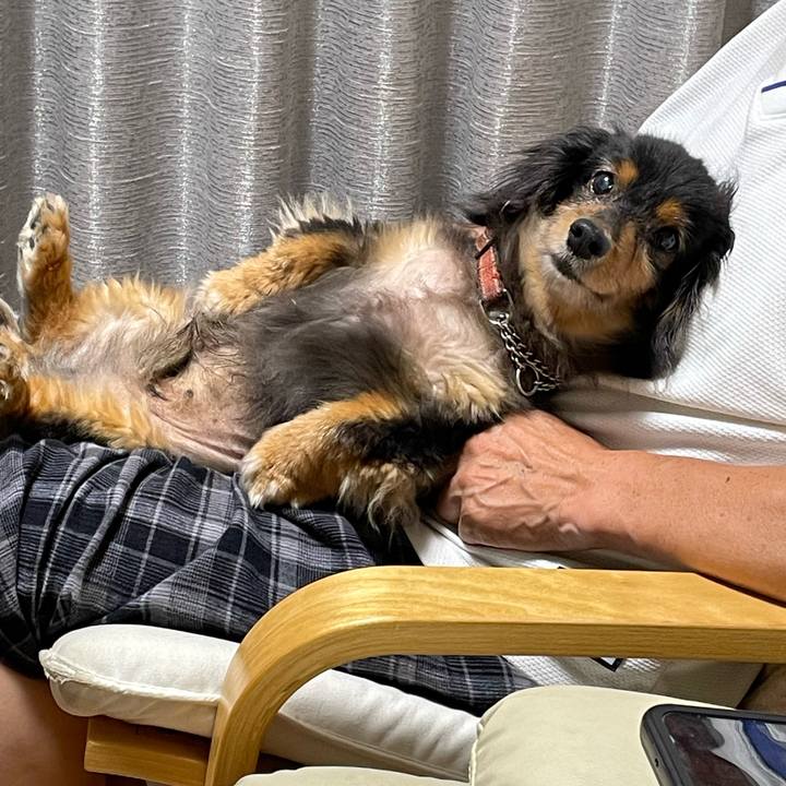 Ff426655 953d 46d9 9166 3e72738e465b 1693481710627