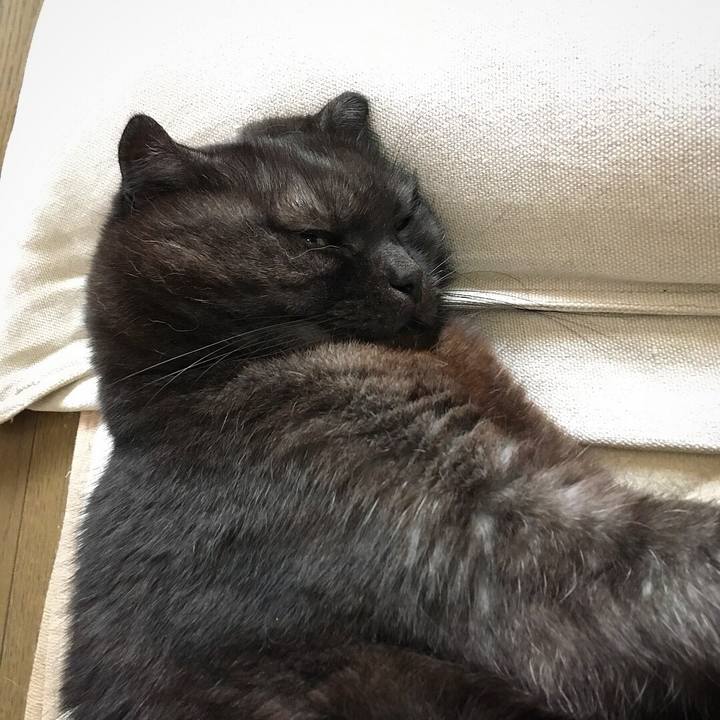 Ff428988 15a5 4c09 820b 5006a6cda64b 1528157999224