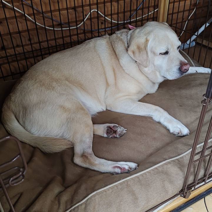 Ff429520 a0bf 46b5 b467 b2356259f022 1727235977554