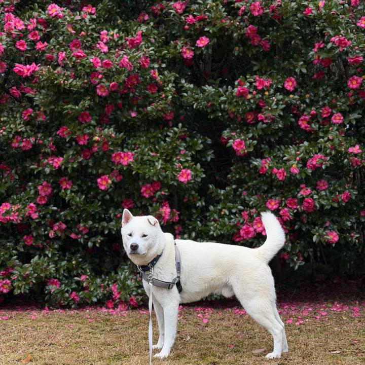 Ff42b243 06d0 4dd1 9521 2e0f7a3b188d 1766395305314