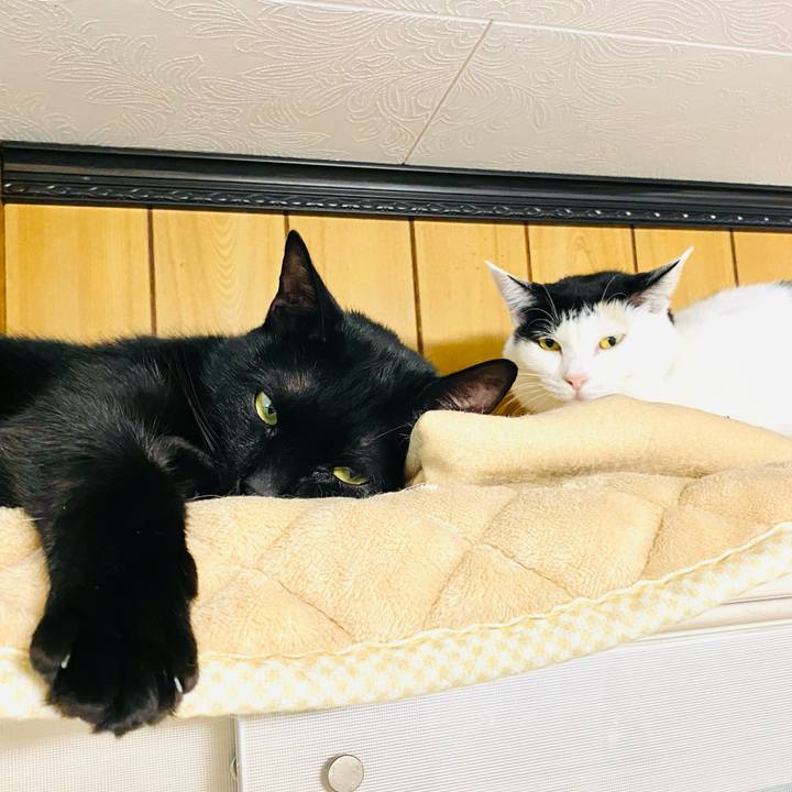 Ff42b4ae c196 4add b2df a4f032d7aadb 1666883506129