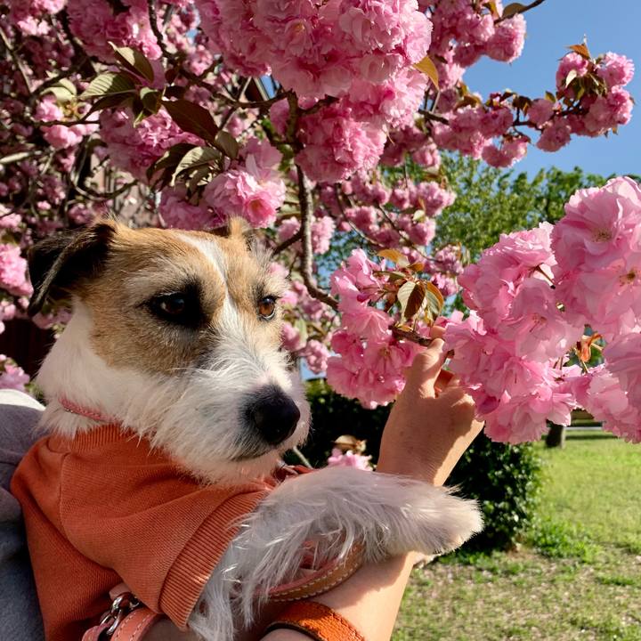 Ff4334fa 560c 4ea9 82c7 fd203cb68042 1618755223299