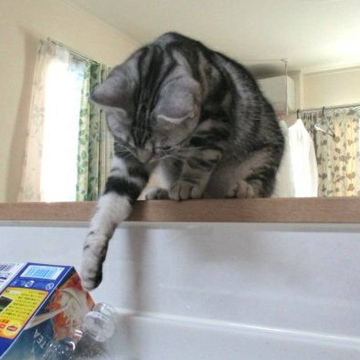 Ff4345a7 e523 408e a32a 6c5943e655b6 1538912945399