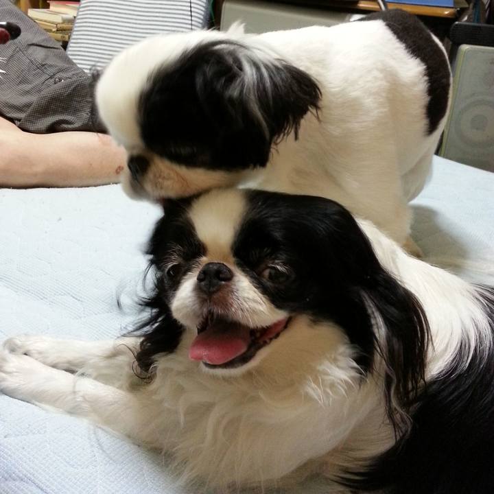 Ff4379ec 0ec4 4dfc 84dd 984ad71c7017 1597448777942