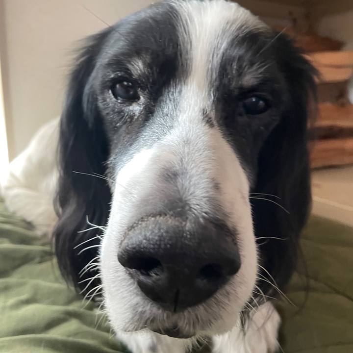 Ff437b2f 89d4 4bc0 ac3a e4a82b725424 1762213975928