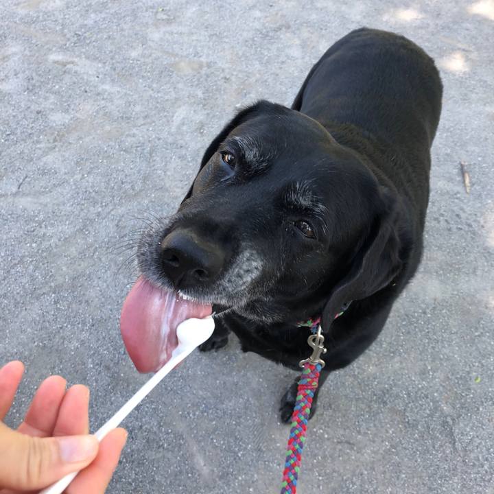 Ff43b67b b31e 46dc ab0d 387d2f7adaae 1588918790855