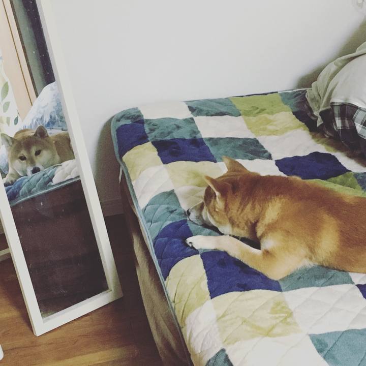 Ff43d95d b22f 4ef2 a9ea dd5614835d84 1515163073956