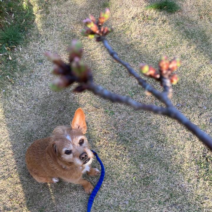 Ff440a79 4f78 4572 9bfb 024693f13977 1678968528698