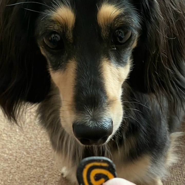 Ff444d04 fca2 4d84 8f39 8144b0e692fa 1763188345994