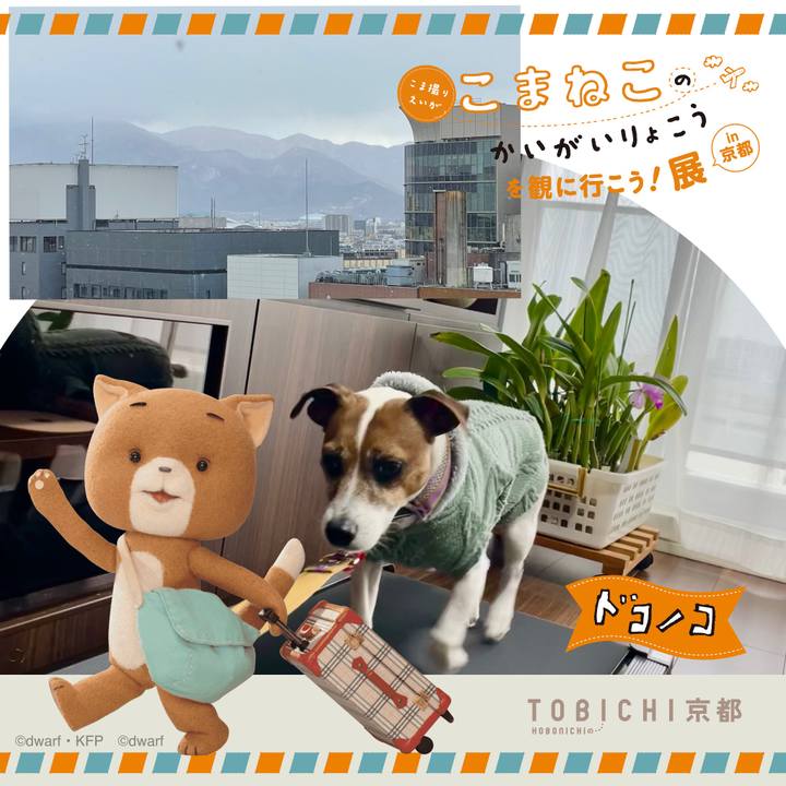 Ff447917 606a 4cf5 a595 4a3ef65595cd 1740209774629