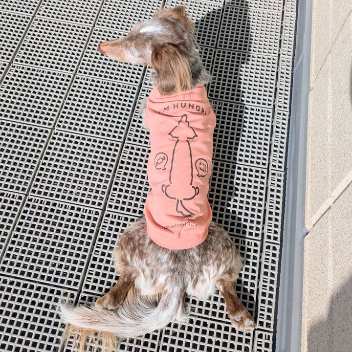 Ff44827f 6a66 4818 bc3a 9ec85d681294 1763343220597