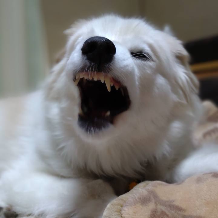 Ff44f1a1 7095 48a9 9302 bc4a4b0ec784 1649993195008