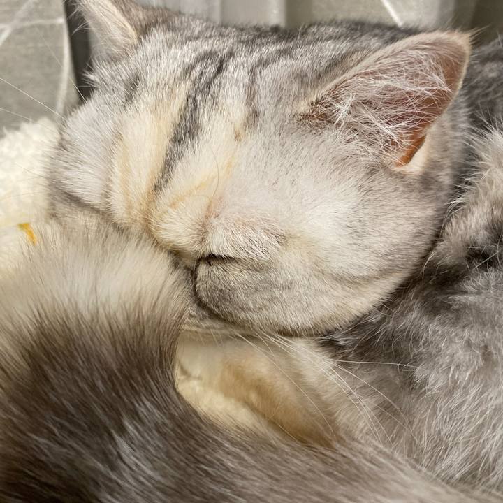 Ff450e53 f38b 4eb3 9a7d d39c7c0d44eb 1775743555842