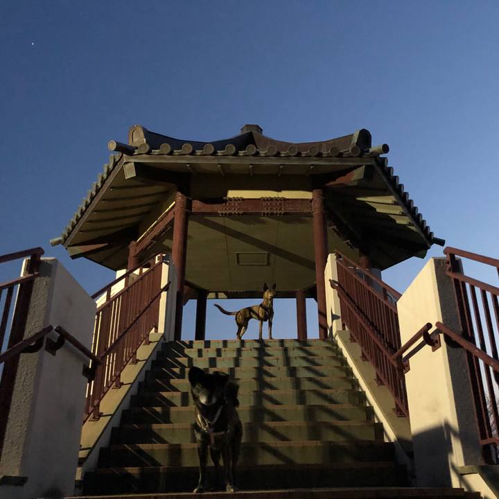 Ff456573 0e04 44ae acf1 182ce2ab7dc0 1585145299928