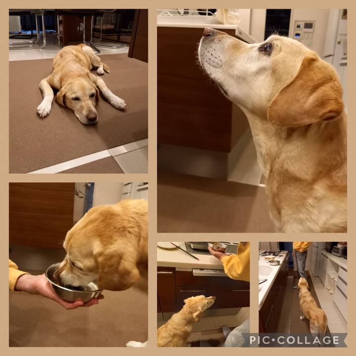 Ff458834 51f8 4c37 920d 780099737e57 1682762707209