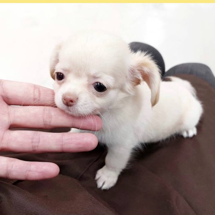 Ff459919 2ceb 4bdd 8fd4 784cbf3a6b0d 1611565581173